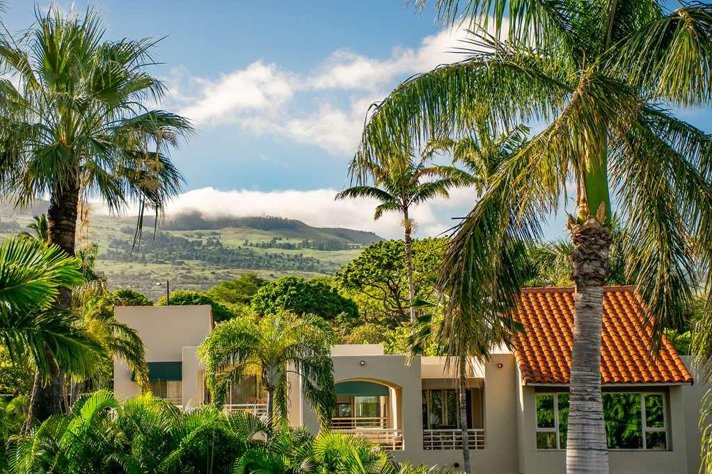 Palms At Wailea Apartment Wailea  Exterior photo