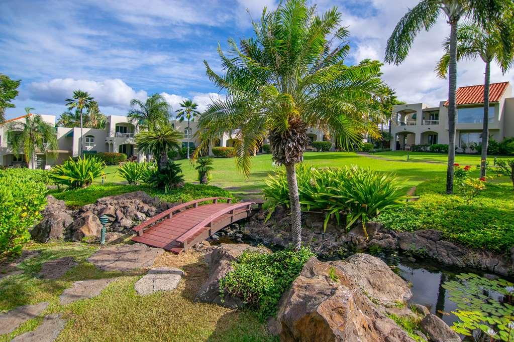 Palms At Wailea Apartment Wailea  Exterior photo